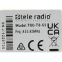 Tele Radio T60-T8-53 / CO-TX-MNL1 mini transmitter remote control zender Fernbedienung funk sender