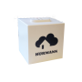 Hörmann Homee Brain Cube 
868 MHz BiSecur
4510462
EAN 4005954220098